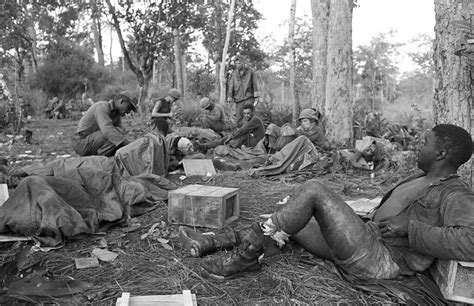 Vietnam War 1965 - Ia Drang - U.S. Wounded | Shocked and wou… | Flickr