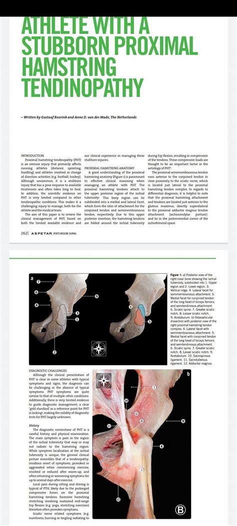 Managing... - Proximal Hamstring Tendinopathy Help and Support