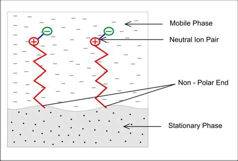 HPLC de cromatografía de par de iones de fase inversa