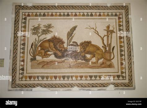 Mosaic in The Archaeological museum of El Djem or El Jem in Tunisia ...