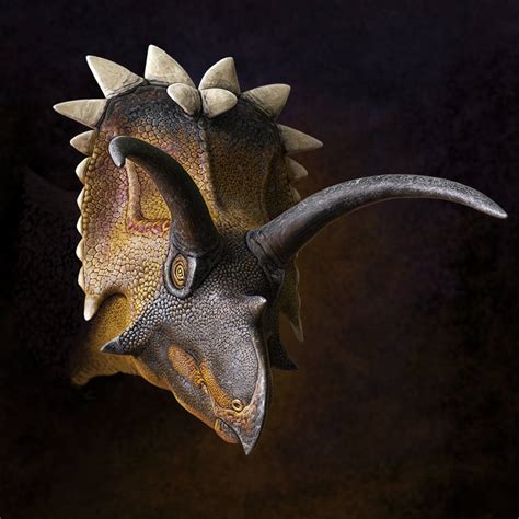 Anchiceratops by Olorotitan on DeviantArt