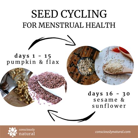 Seed Cycling Chart - Consciously Natural