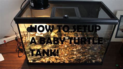 How To Setup A Baby RED EARED SLIDER Turtle Tank! - YouTube