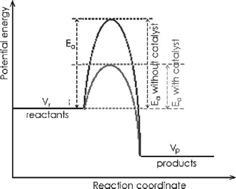 Potential energy diagram with/without catalyst in a hypothetical ...