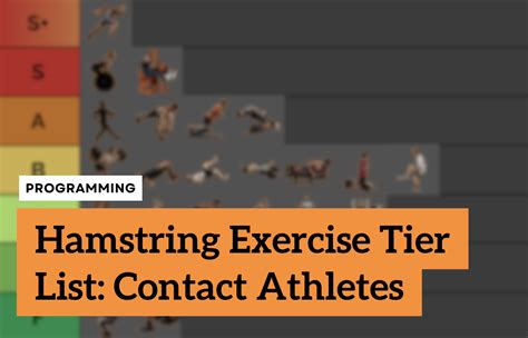 Hamstring Exercise Tier List: Contact Athletes