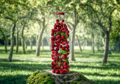 Cherry Cola on Behance