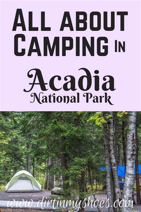 All About Camping in Acadia National Park | Acadia national park, Acadia national park camping ...