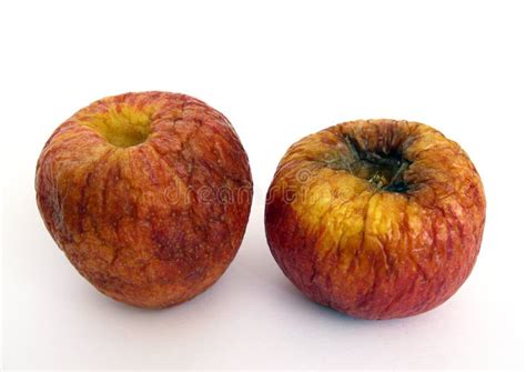 Old apples stock image. Image of details, aged, musty - 6734649