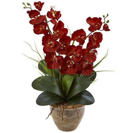 Double Phalaenopsis Harvest Silk Orchid Arrangement in Ceramic Vase, Color: Red - JCPenney in ...