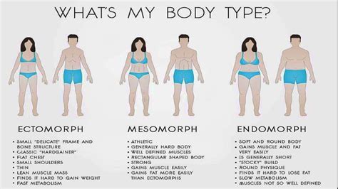 Best Exercise For Endomorph Body Type - Exercise Poster