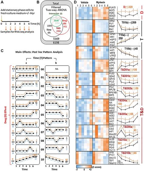 Summary of transcriptomics data. (A) Experimental Design-samples were ...