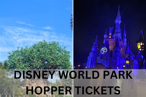 7 Reasons Why Disney World Park Hopper Tickets Are Not Worth The Money