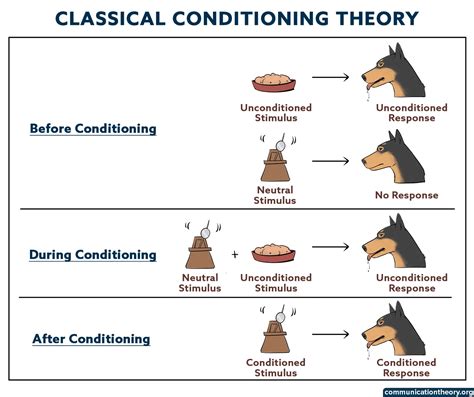 Classical Conditioning – The Pavlov’s Dogs Experiment