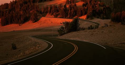 Curved Road · Free Stock Photo