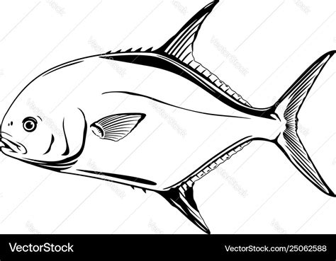 Permit fish Royalty Free Vector Image - VectorStock