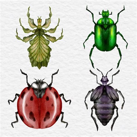 Premium Vector | Watercolor insect collection clip art illustration