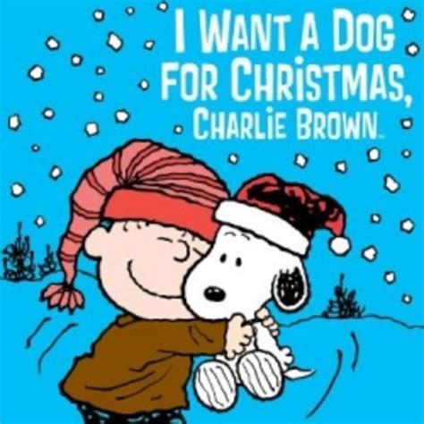 The Best Christmas Movies Featuring Dogs! | HubPages