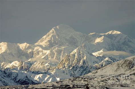 Mount Mckinley Photograph by Mark Newman - Fine Art America