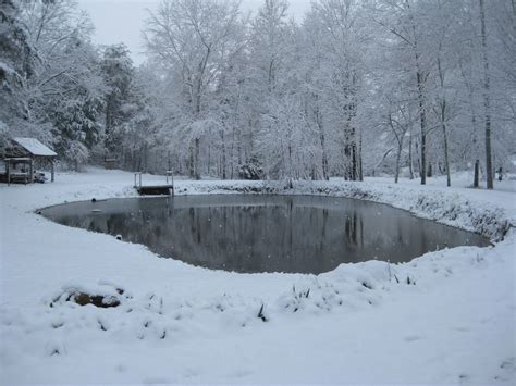 Albemarle, North Carolina | Albemarle, North carolina, Outdoor