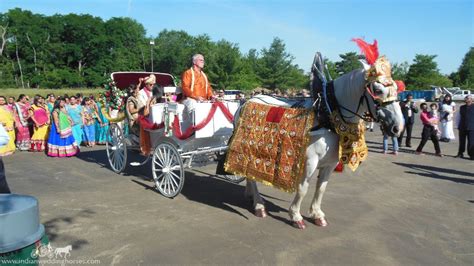 #ghori #wala #for #Indian #weding at #theweddingmall | Horse carriage ...