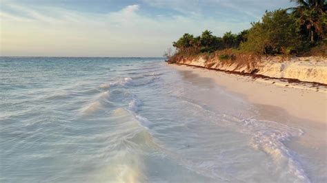 Aerial view on a tropical beach during daytime 20015990 Stock Video at ...