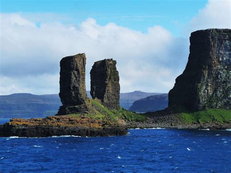 Fiordos barridos por el viento. La fauna de la Isla Kerguelen.