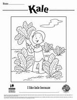 Leafy Greens  Food Hero sketch template
