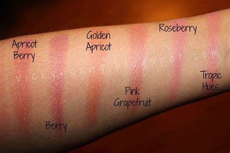 Review and Swatches: Laura Geller Blush-n-Brighten in Apricot Berry ...