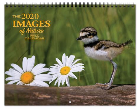 2020 Images of Nature Calendar | Farley Calendar Company