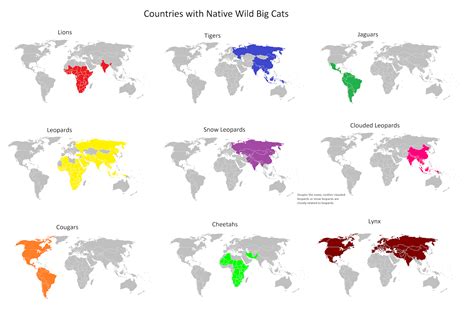 Countries with Native Wild Big Cats