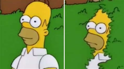 Homero Simpson envía GIF de su famoso meme y las redes estallan