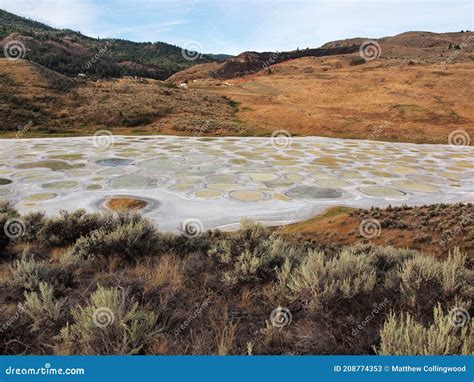 Spotted Lake Osoyoos in British Columbia Canada Stock Image - Image of travel, columbia: 208774353