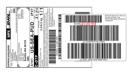 DHL Tracking - Trackingi.Com