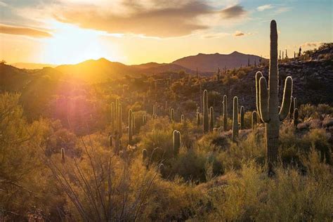 Hiking the Vulture Peak Trail Near Wickenburg, Arizona