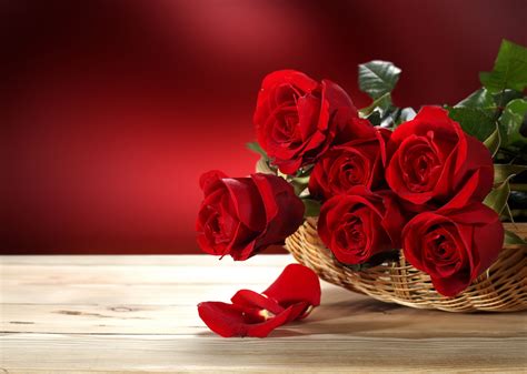 3840x2731 roses 4k full hd background Rose Photography, Photography Backdrops, Rose Flower Hd ...