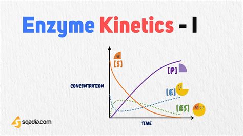 Enzyme Kinetics - I