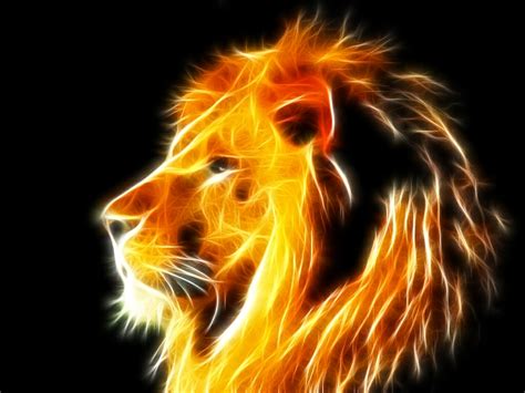 Colorful Lion Wallpaper - WallpaperSafari