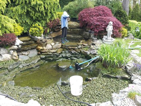 Pond Maintenance - LI, NY | The Fish Guy | Pond Maintenance | Aquarium ...