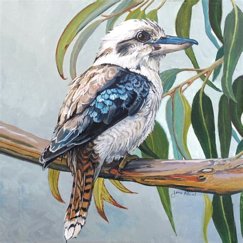 ‘Kookaburra #2’ acrylic on canvas painting by Jane Nicol, 2016, 8” x 8” – Jane Nicol