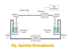 Capillary Electrophoresis: Introduction, instrumentation, procedure