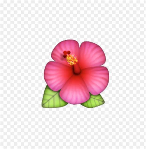 Purple Flower Emoji Copy Paste | Best Flower Site