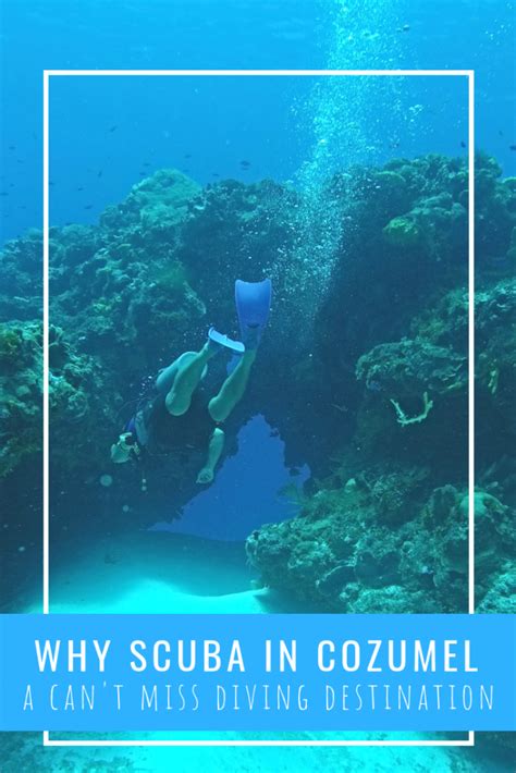 Cozumel SCUBA Diving: Why This Is a Can't Miss Destination