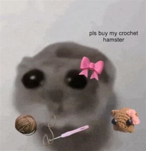 Crochet Sad Hamster, Tiktok Meme Sad Hamster Plush, Cute Coquette ...