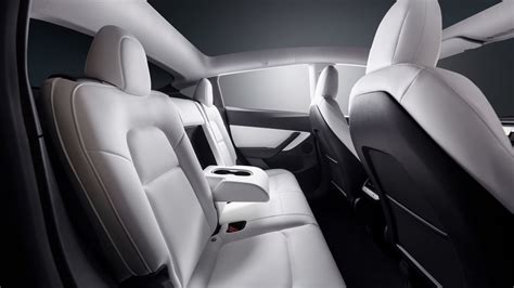 Can Tesla’s White Interior Handle Kids, Pets, and Daily Wear?