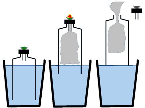 How does a gravity bong work and how can I make one? – Barneys Farm