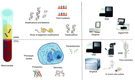 Comparison of the analysis capability and the technologies available... | Download Scientific ...