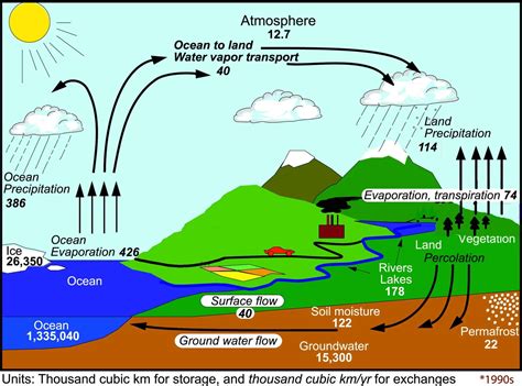 water cycle - cameroongcerevision.com