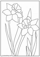 Spring Flowers Coloring Pages 14 Printable PDFs sketch template
