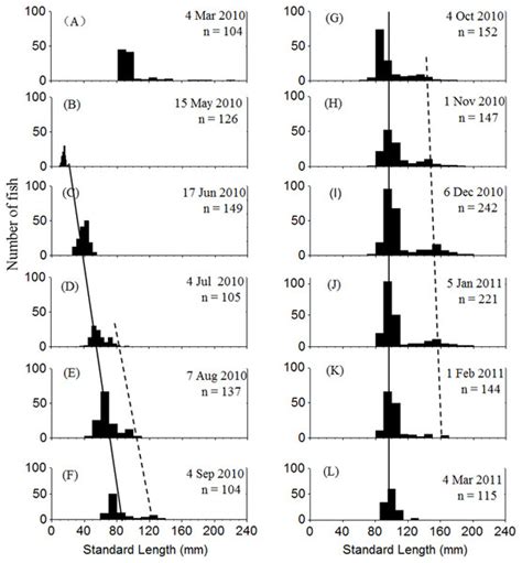 Life-history traits and intra-cohort divergence of clearhead icefish (Protosalanx chinensis ...