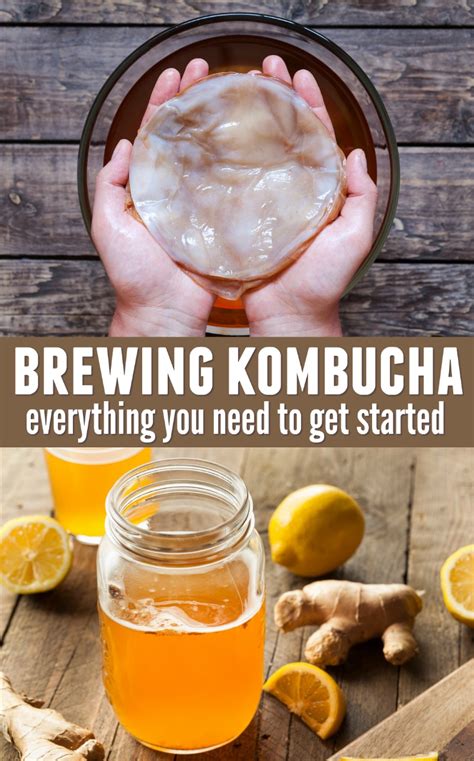 Brewing Kombucha: 8 Things You Need to Get Started - Happy Mothering